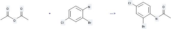 Benzenamine,2-bromo-4-chloro- can be used to produce acetic acid-(2-bromo-4-chloro-anilide) at the temperature of 23 °C